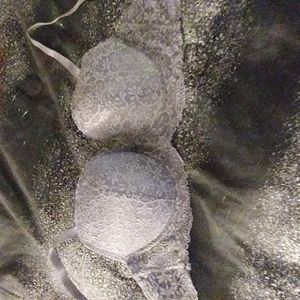 Women's 2 Pack Bra Size 34D